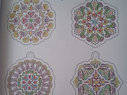 whatsapp bild 2025-12-11 um 11.18.28_c6230d97